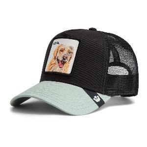 THE LOYAL DOG - GOORIN BROS
