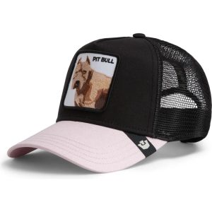THE PITBULL Black/Pink - GOORIN BROS
